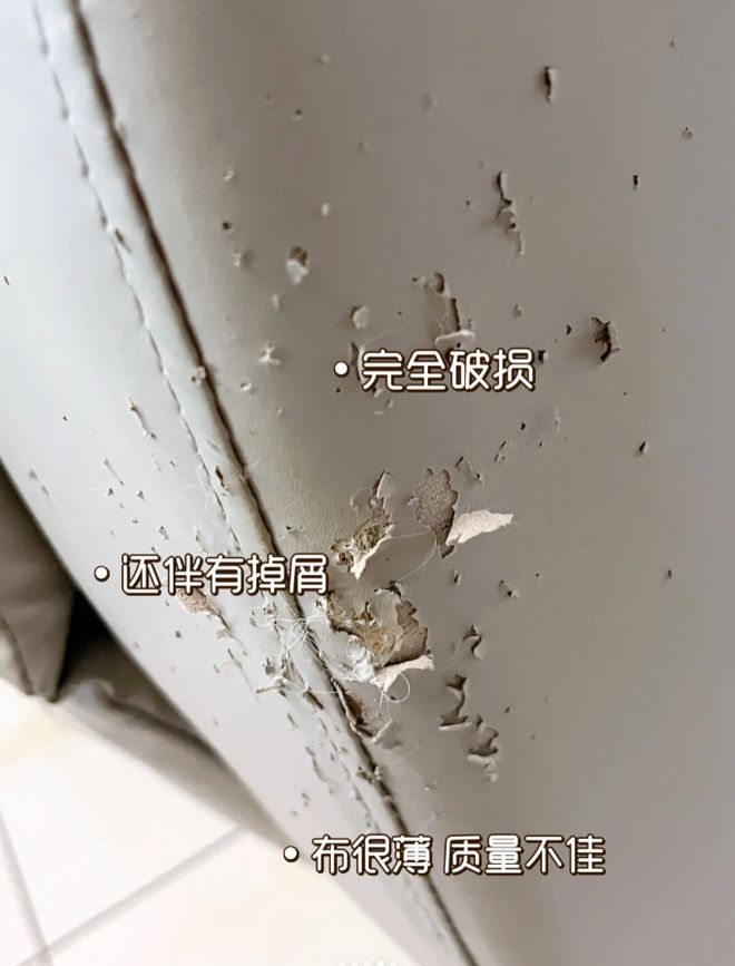 网友疯狂劝退的11种沙发!全是“智商税”,谁买谁冤种!