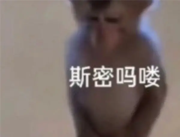 微信也没想到 小蓝包会被玩成这个样子吧 微信也没想到 小蓝包会被玩成这个样子吧