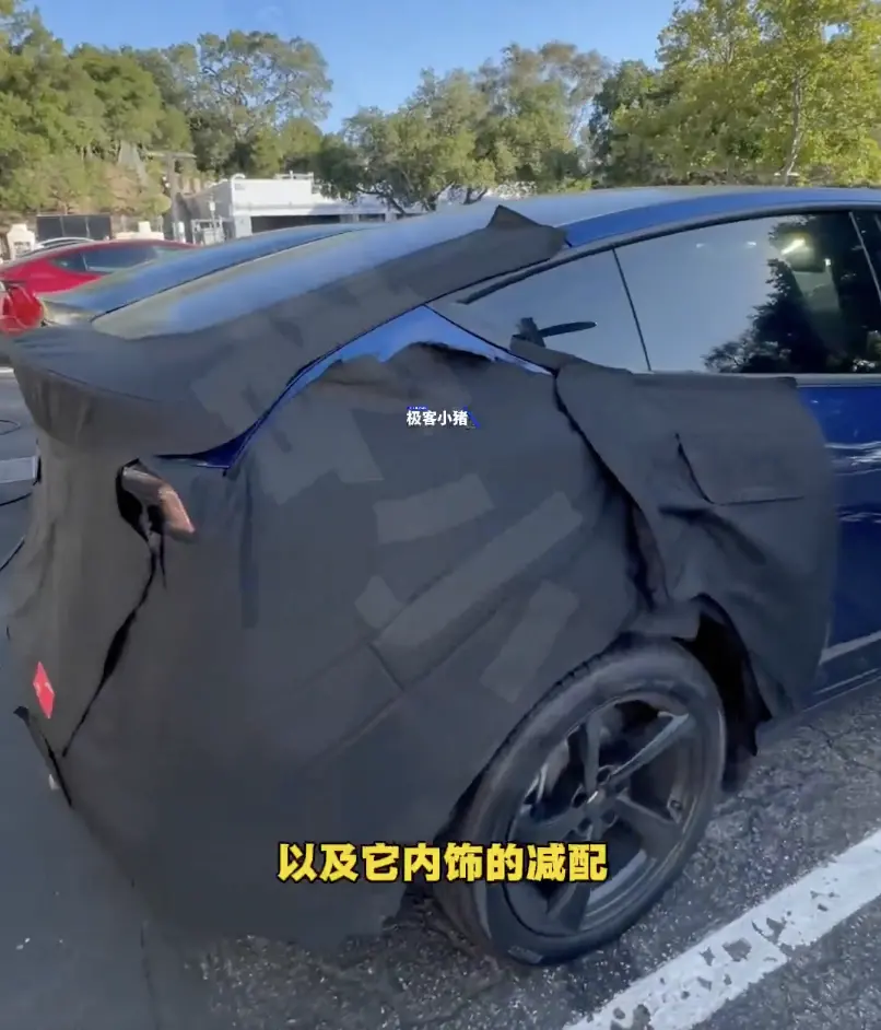 特斯拉“廉价版model y”车型外观首曝:取消贯穿灯带、匹配19英寸倍耐力轮胎