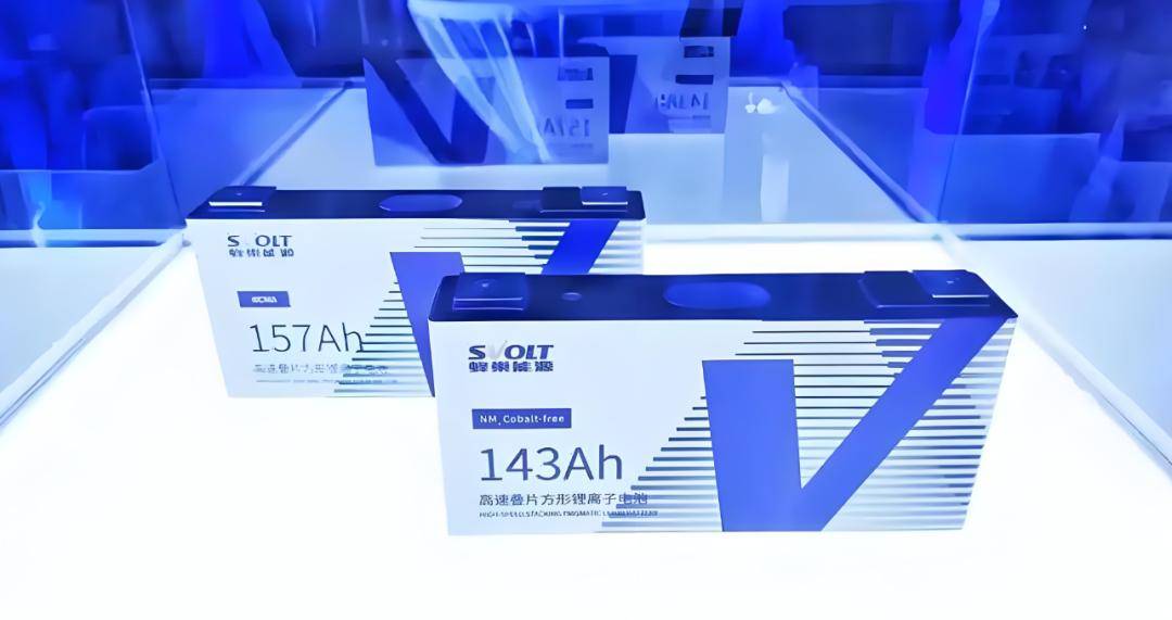 国内的瞪羚企业除了整车企业外,在动力电池、智能网联等相关产业链都涌现了一批领军企业