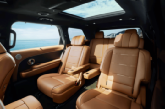 新势力们可以摸着韩国车的石头过河,从帕里斯帝上可以学到什么?