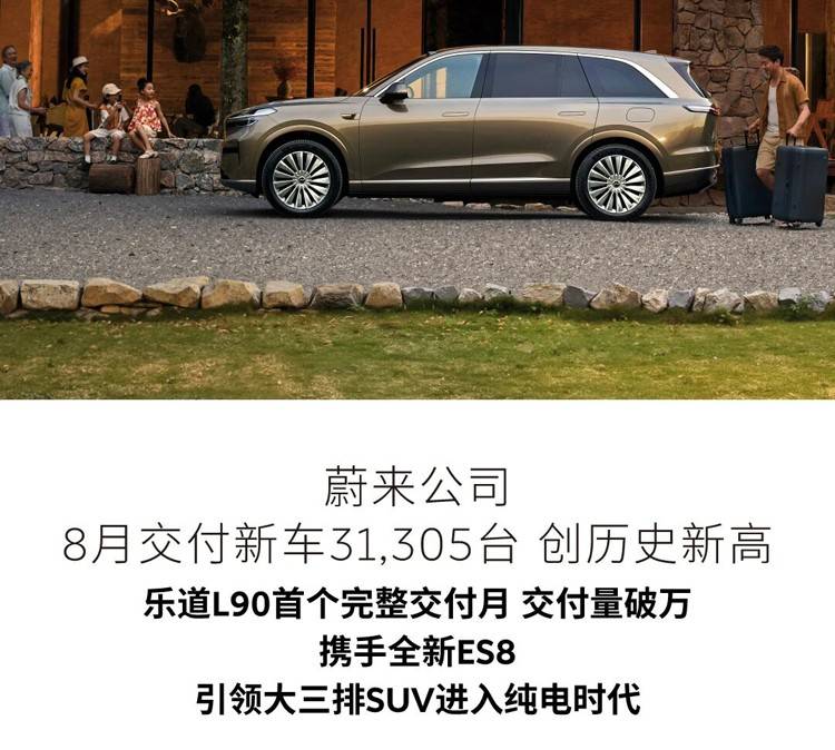 2025年8月新势力销量排名!