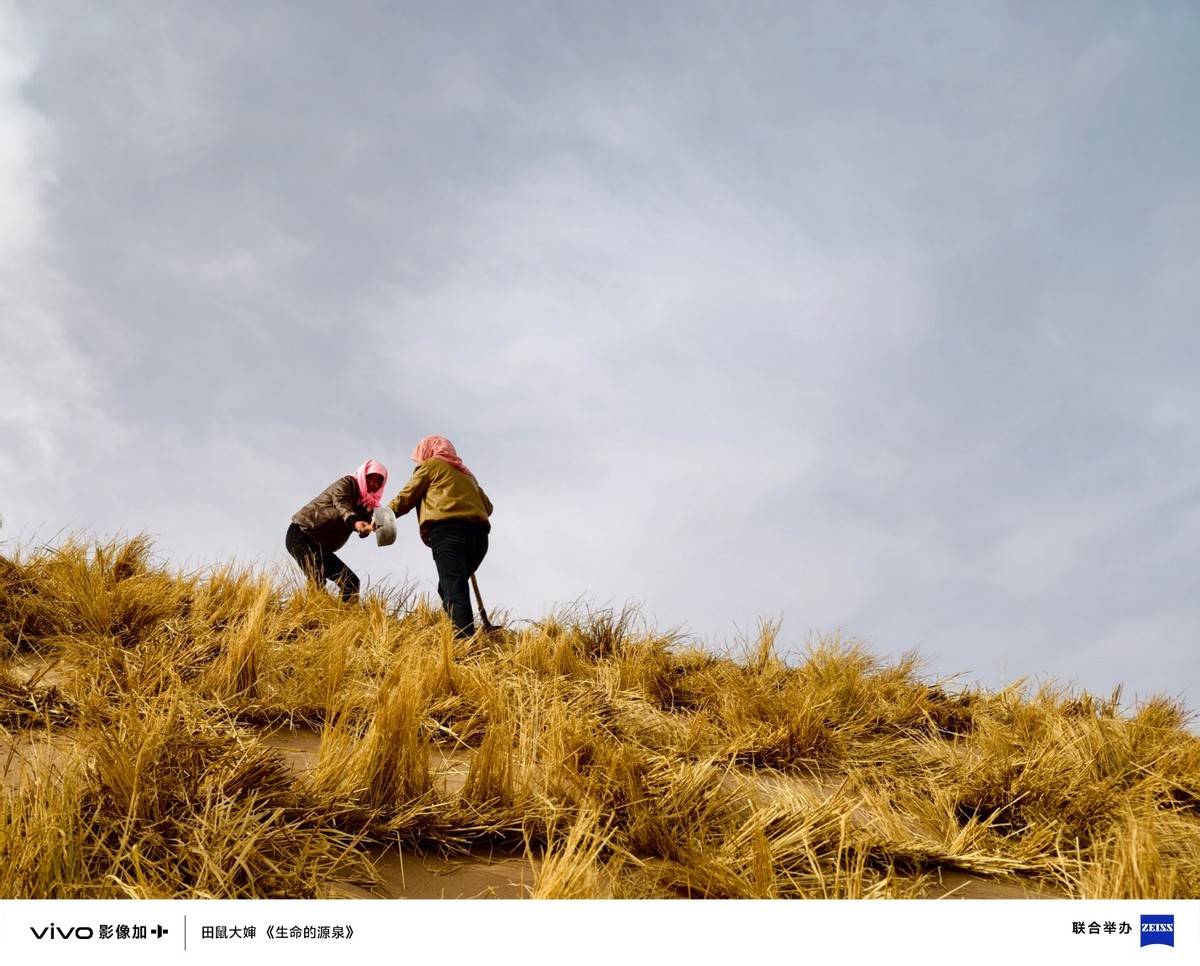 vivo vision探索版重磅发布 “眼一看,手一动”准确无误掌控空间