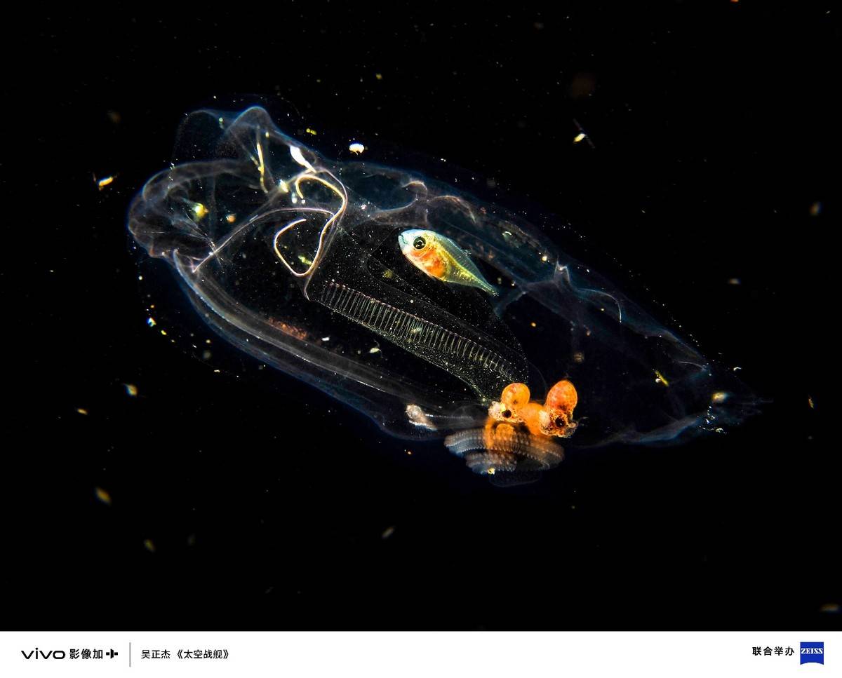 vivo vision探索版重磅发布 “眼一看,手一动”准确无误掌控空间