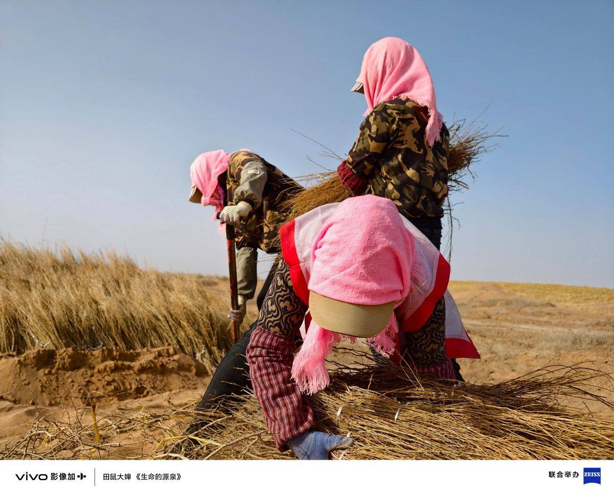 vivo vision探索版重磅发布 “眼一看,手一动”准确无误掌控空间